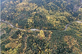'Orman denizi' Karabük'ün sonbahar renkleri görenleri hayran bırakıyor