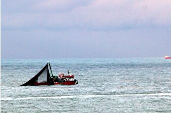 Doğu Karadeniz'in üç limanında metal kirliliği orta ila yüksek ekolojik risk düzeyinde bulundu