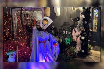 San Francisco'da cadılar bayramı süslemeleri ile evler ve sokaklar renklendi