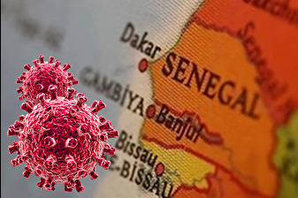 Senegal'de Rift Vadisi Ateşi salgınında ölü sayısı 29'a çıktı