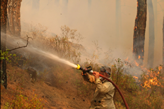Muğla ve Aydın’da 2025’te 429 yangın meydana geldi, 3 bin 800 dönüm alan küle döndü