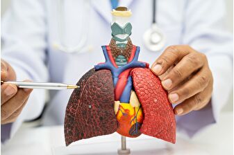 Türkiye'de 32 bin 936 kişi organ nakli olmayı bekliyor