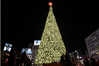 San Francisco’da dev Noel ağacı ışıklandırıldı