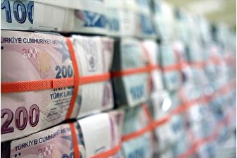 Hazine ve Maliye Bakanlığı iki tahvil ihalesiyle 47,5 milyar lira borçlandı