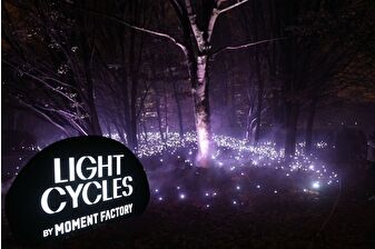 Fransa’da 'Light Cycles' açık hava gösterisi, ışık, ses ve doğayı buluşturdu