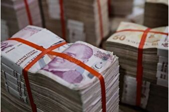 Hazine ve Maliye Bakanlığı haftaya üç doğrudan satış gerçekleştirecek