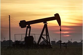 ABD Başkanı Donald Trump yönetimi, Alaska'daki rezervde yaban hayatını koruyan sondaj sınırlamalarını kaldırdı