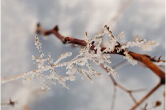 Erzurum, Kars, Ardahan ve Ağrı'yı buz tuttu