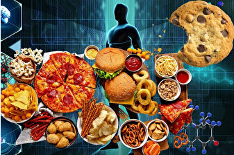 Aşırı işlenmiş gıdaların tüm organ sistemlerine zarar verdiğini gösteren küresel araştırma büyük bir sağlık tehdidini ortaya koyuyor