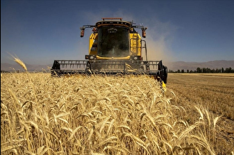 Tarımsal girdi fiyat endeksi eylülde yıllık yüzde 34,6, aylık yüzde 2,16 arttı