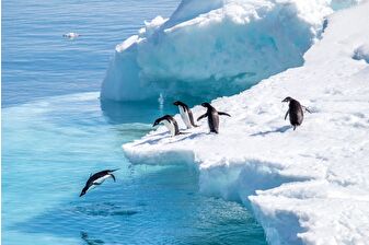 Antarktika'daki buzullar erirse denizler 50 metre yükselir