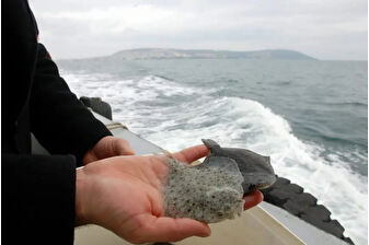 Kalkan balığının sürekliliği için Karadeniz'e yaklaşık 120 bin yavru salındı