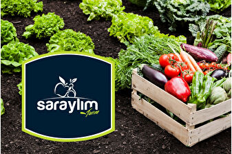 İhracatta öne çıkan Türk gıda devi Saraylım Tarım iflasın eşiğinde