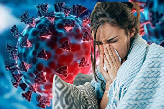 Avustralya’da ortaya çıkan 7 mutasyonlu H3N2 virüsü Kuzey Yarım Küre’ye yayıldı