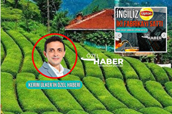 Dünya devi Lipton, 39 yıllık Türkiye üretim serüvenine son verdi, Rekabet Kurulu satışa onay verdi
