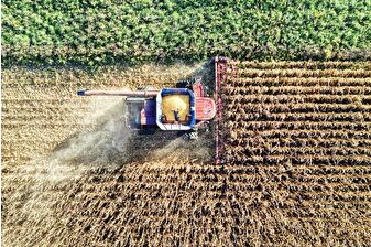 İngiltere tarımında iklim krizi kaybı 800 milyon sterlini aştı