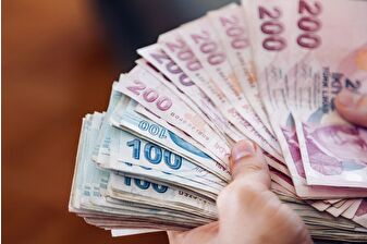 Merkez Bankası verilerine göre Türk Lirası'nın reel değeri kasım ayında sınırlı geriledi