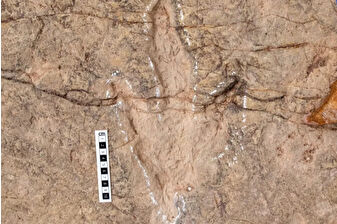 Bolivya’daki Torotoro Ulusal Parkı’nda 16 bin 600 Theropod ayak izi keşfedildi