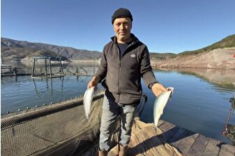 Denizi olmayan Almus'ta Türk somonları yetişiyor, üretim hedefi ise 150 ton