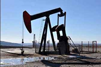 TPAO'nun Kırklareli ve Diyarbakır'daki sahaları için kamulaştırma kararı alındı