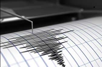 Van 4.6'lık depremle sallandı