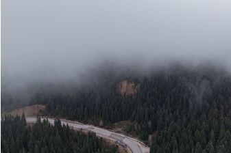 Ilgaz'da sis çam ağaçlarıyla bütünleşti