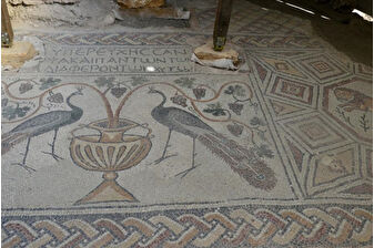 Hadrianopolis Antik Kenti'nde zemini mozaiklerle süslenmiş kabul salonu gün yüzüne çıkarıldı