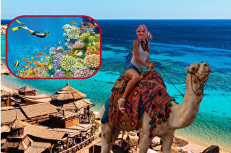 Tekstil, beyaz eşya ve inşaatın ardından Türk turistlerle turizmciler de rotayı Mısır’a çevirdi