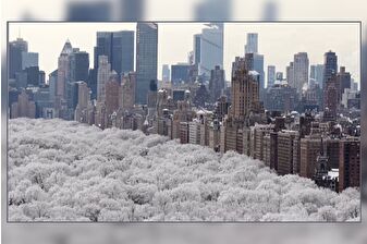 New York'ta kar fırtınası etkili oldu