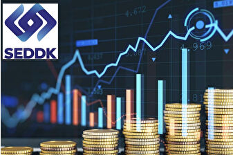 SEDDK, finansal raporlama yönetmeliğindeki bazı maddelerin yürürlük tarihini güncelledi
