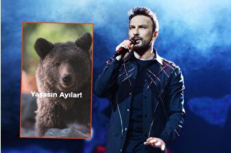 Tarkan'dan 'avcılık yasaklansın, ayılar yaşasın' paylaşımı