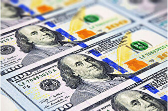 Türkiye Cumhuriyet Merkez Bankası rezervleri rekor seviyeye yaklaştı