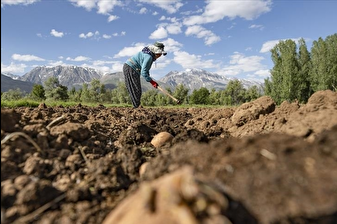 Yerel tarıma 2,2 milyar lira hibe verilecek