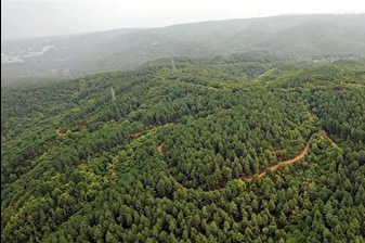 Resmi Gazete'de yayımlanan Cumhurbaşkanı Kararı ile 11 ilde bazı alanlar orman sınırından çıkarıldı