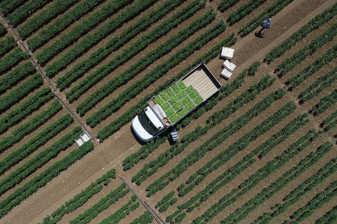 Tarımsal girdi fiyat endeksi ocakta yıllık bazda yüzde 30,59, aylık yüzde 3,86 arttı