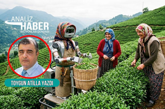 Rize'de robotlar çay topladığında ne olacak?