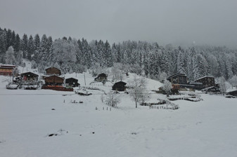 Ayder Yaylası beyaza büründü