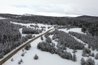 Sarıçam ormanlarının eşsiz manzarası görüntülendi