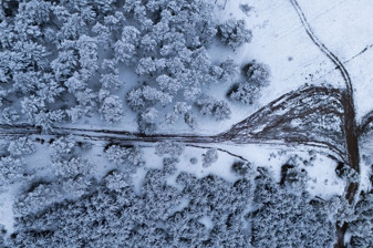 Bazı ormanlar Nisan ayında beyaza büründü