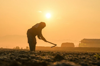 Dünya Meteoroloji Örgütü'ne göre, aşırı sıcaklar 1 milyardan fazla kişinin geçim kaynakları için tehdit oluşturuyor