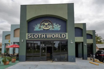 ABD'de 31 tembel hayvanın 'uygun koşullarda tutulmadıkları' için öldüğü bildirildi