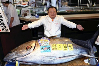 En pahalıya satın alınan 243 kiloluk ton balığı, Japon suşi restoran zincirine Guinness rekoru getirdi