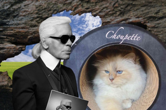 Karl Lagerfeld’in dünyaca ünlü kedisi Choupette, vaat edilen milyonlarca euroluk mirasa yıllardır ulaşamadı