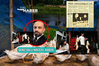 Türkiye'nin merhum Cumhurbaşkanı Kenan Evren'e hediye edilmesiyle tanıştığı Pekin ördeği, Avrupa'da soruşturma konusu oldu
