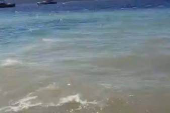 Bodrum'da denizin kirletilmesine ilişkin soruşturma başlatıldı