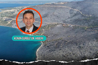Muğla Valisi İdris Akbıyık, ünlü isimlerin de evlerinin hasar gördüğü son yangında yanan ormanlık alanla ilgili iddialara yanıt verdi