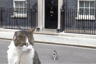 6 başbakan eskiten kedi Larry, 10 Numara'nın önünde gezindi