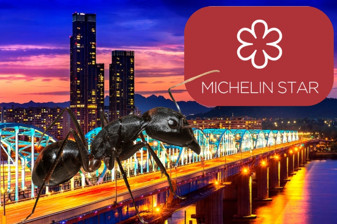 Michelin yıldızlı restoranın şefi, tatlıda karınca kullandığı iddiasıyla hapis istemiyle yargılanıyor