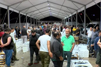 Balıkçılar denize açıldı, Gürpınar Balık Hali hareketlendi