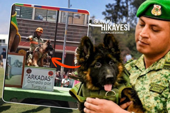 Türkiye’nin 6 Şubat depreminde ölen Meksikalı kurtarma köpeği Proteo’ya vefa borcu için Meksika’ya gönderdiği Arkadaş geçit töreninde